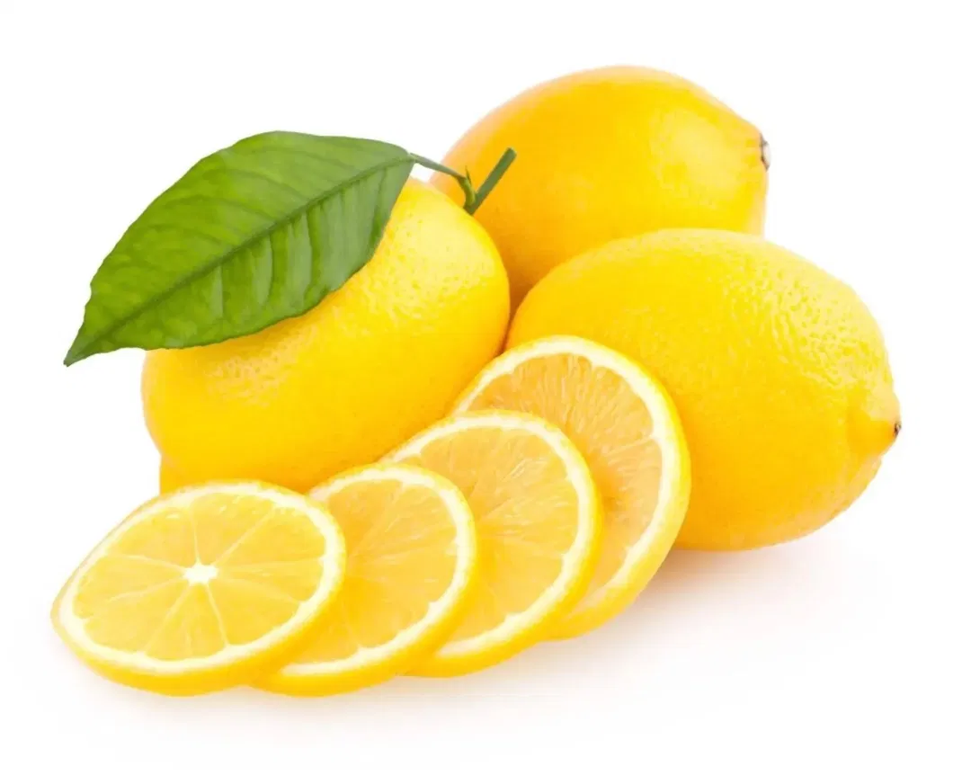 High Quality Fresh Lemon Limon Fresh for Drinks Fruit Agriculture Fresh Lemon