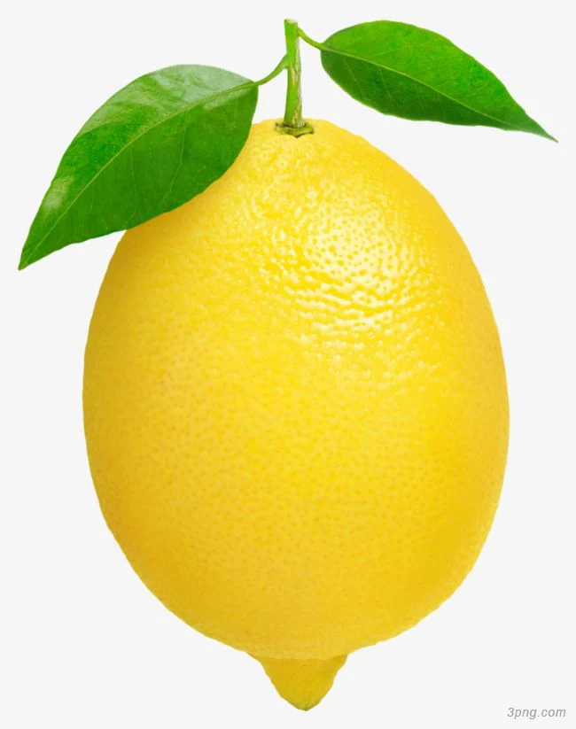 High Quality Fresh Lemon Limon Fresh for Drinks Fruit Agriculture Fresh Lemon